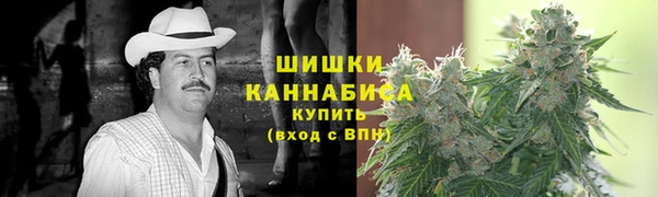 соль ск Алексин