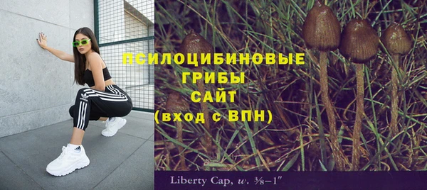 соль ск Алексин