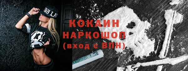 соль ск Алексин