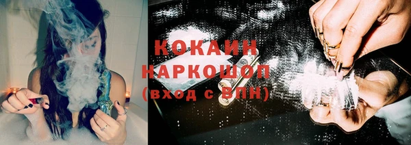 соль ск Алексин