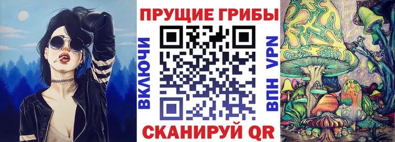 Псилоцибиновые грибы Magic Shrooms  нарко площадка наркотические препараты  Суджа  цена наркотик 