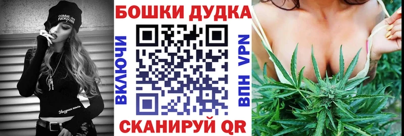 Канабис сатива  Суджа 